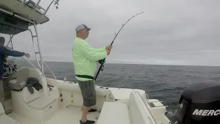 Cape Cod Tuna Fishing 2022