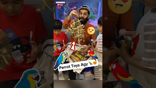 Parrot New Toys 🦜😍 - LwM day 118/1000