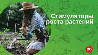 №42 Какими удобрениями стимулировать рост растения