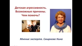 Детская агрессивность, возможные причины. Помощь продуктами NSP. Смирнова Нина