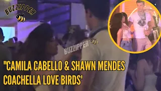 Shawn Mendes & Camila Cabello Minutes Before Their Steamy Kiss