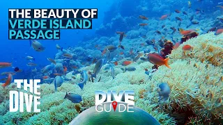 The Beauty of Verde Island Passage #TheDivePH