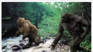 Bigfoot Top Topics with Gary Hootenholla and LIB Mike