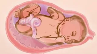 Die 38. Schwangerschaftswoche - Tipps und Ratschläge von Hebamme Iris Edenhofer