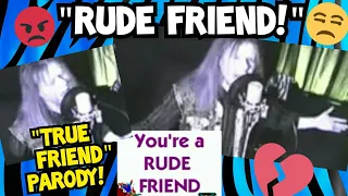 RUDE FRIEND! (Hannah Montana 'True Friend' Parody!)