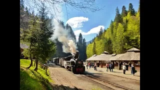 "Mocanița" Steam Train of Vaser Valley , Maramures Romania