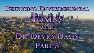 Reducing Environmental Toxins with Dr  Devra Davis Part 3