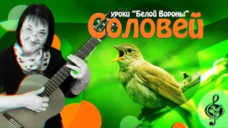 🎸 "Соловей". Базовый уровень. Разбор.