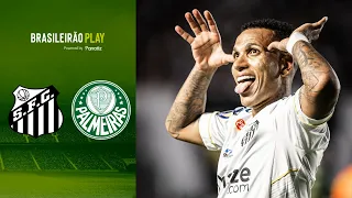 Santos 1x0 Palmeiras : Game Highlights | Final Paulistão 2024