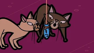 Caos de Gato | Mr Bean | Dibujos animados para niños | WildBrain en Español