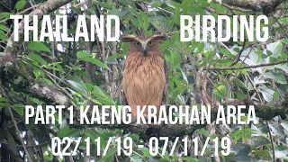 Thailand Birding Part 1: Kaeng Krachan area