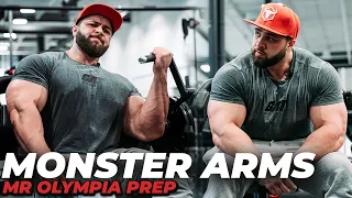 ARM WORKOUT FOR MONSTER ARMS!
