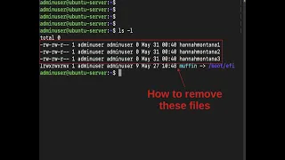 Remove a File From the Linux Command Line | Linux Files and Directories | One Command