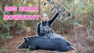 Bowhunting BIG Boar Hog