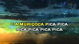 A Muriçoca ♪ O Rei Da Cacimbinha ♪ Playback ⁄ Karaokê ♪