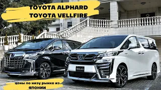 ШОК ЦЕНЫ😱😱😱 на TOYOTA ALPHARD и TOYOTA VELLFIRE Обзор цен по самому низу рынка с аукционов Японии🔥🔥🔥