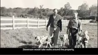 Adlai Stevenson II