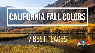 DON'T MAKE OUR MISTAKE! California Fall Leaves - 7 BEST PLACES to view fall leaves and fall colors