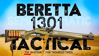 Beretta 1301 Tactical //  the best semi-auto shotgun for the money