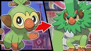 My Favorite Potential STARTER EVOLUTIONS in Pokemon Sword and Shield