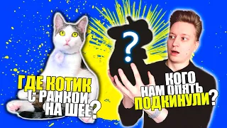 Где КОТИК с раной на шее? КОГО нам опять ПОДКИНУЛИ? / SANI vlog