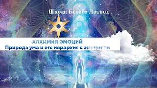 Природа ума и его иерархия с эмоциями. АЛХИМИЯ ЭМОЦИЙ вырезка.