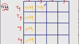 Dihybrid Punnett Square