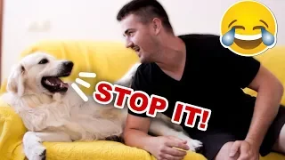 Funny Dog Reacts to My Laugh [BEST REACTION EVER]