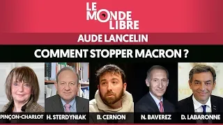 COMMENT STOPPER MACRON ? - LE MONDE LIBRE