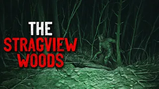 "The Stragview Woods" Creepypasta