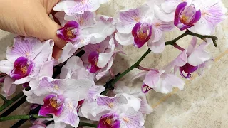 Сделай это правильно и скорое цветение и быстрый рост орхидей ГАРАНТИРОВАН!