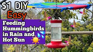 DIY Hummingbird Feeder Shade Cover HOT SUN or Rain, HUMMINGBIRDS Feeding Nectar, Gardening w/Birds