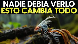 PESADILLA En La Selva: Criaturas ATERRADORAS Del Amazonas Filmadas En Cámara