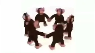 обезьянки кружатся гиф