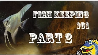 Fish Keeping 101 Part 2 "Gathering the equipment" Tank Talk Presented by KGTropicals