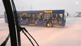 1701 В ПЛАНАХ   ПРОВЕРЕННОЕ И ЭКСПЕРИМЕНТАЛЬНОЕ