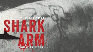The Bizarre Mysterious Case of Shark Arm Murders.