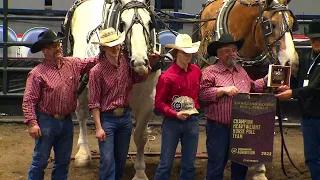 Heavyweight Canadian Horse Pull Finals, presented by Ritchie Bros.