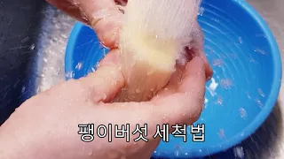 팽이버섯손질법~(생활의 꿀팁)박테리아 그냥드실건가요?팽이버섯 잘못손질, 세척시 식중독원인~ 팽이버섯 손질법과세척법.영양손실우려 가볍게 씻고 생으로 먹지않기 (부산아지매레시피)