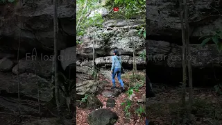 San Jose Del Guaviare pinturas rupestres vereda nuevo Tolima