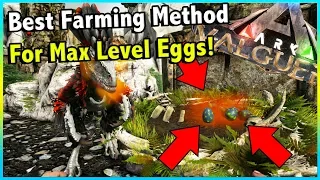 HOW TO FARM UNLIMITED MAX LEVEL DEINONYCHUS EGGS IN ARK VALGUERO!! || ARK VALGUERO!!