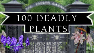 The Poison Garden in Alnwick / Killer plants in everyday life