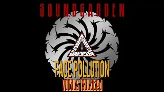 Soundgarden Face Pollution Vocals Isolated