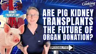 Are Pig Kidney Transplants the Future of Organ Donation? Exploring the Possibilities