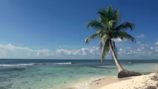 Relaxing 3 Hour Video of A Tropical Beach with Blue Sky White Sand and Palm Tree