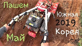 Якутянин в Корее 2019, работа через арбайт, май месяц#4