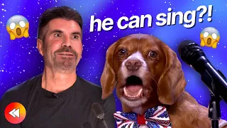 Can These Dogs REALLY Sing?!🐶