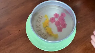 Chinese New Year - Sakura & Fish Koi 3D Jelly