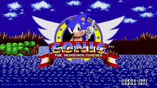 Sonic The Hedgehog Forever :: 100% Longplay + All Achievements (1080p/60fps)