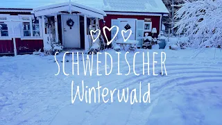 #84#Schwedischer Waldhof wieder im Wintermärchen. Und dann kam doch ein Hauch vom Frühling .